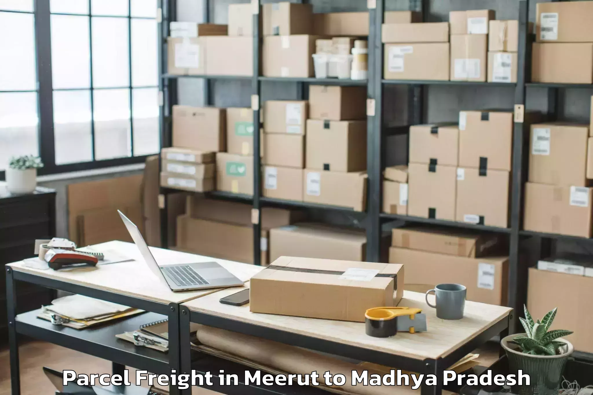 Top Meerut to Barnagar Parcel Freight Available